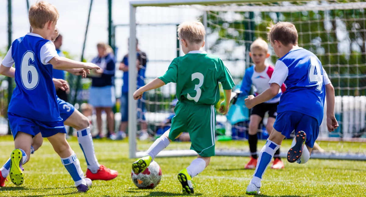 Inne Ciekawostki, Boisko wielofunkcyjne Stefanowie szansą realizację głosowanie - zdjęcie, fotografia