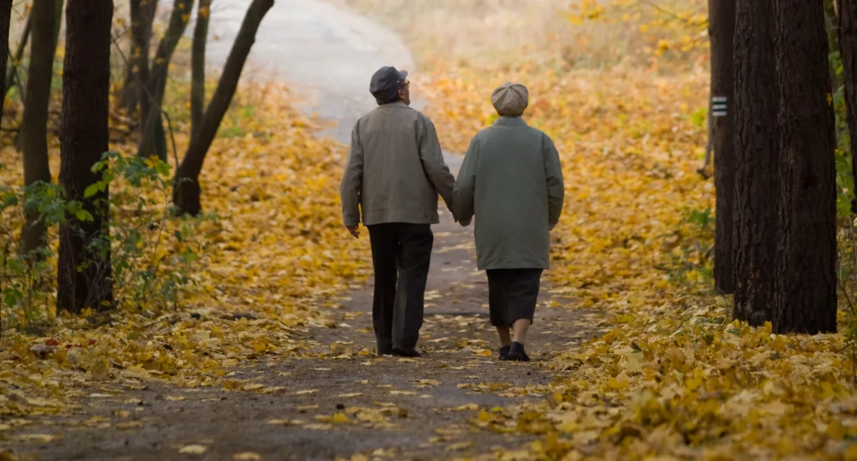 Inne Powiat, Korpus Wsparcia Seniorów szansa opiekę opaską bezpieczeństwa - zdjęcie, fotografia