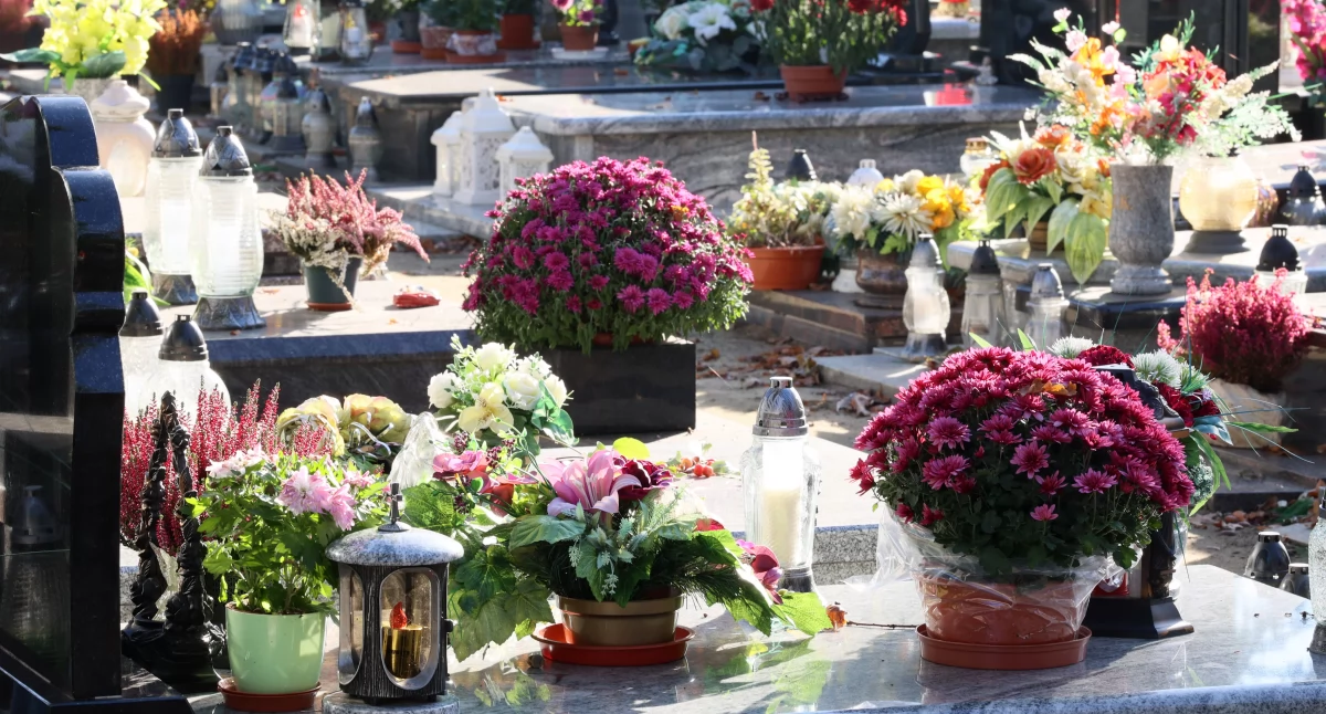 Inne Powiat, Odeszli pozostaną naszej pamięci stycznia) - zdjęcie, fotografia