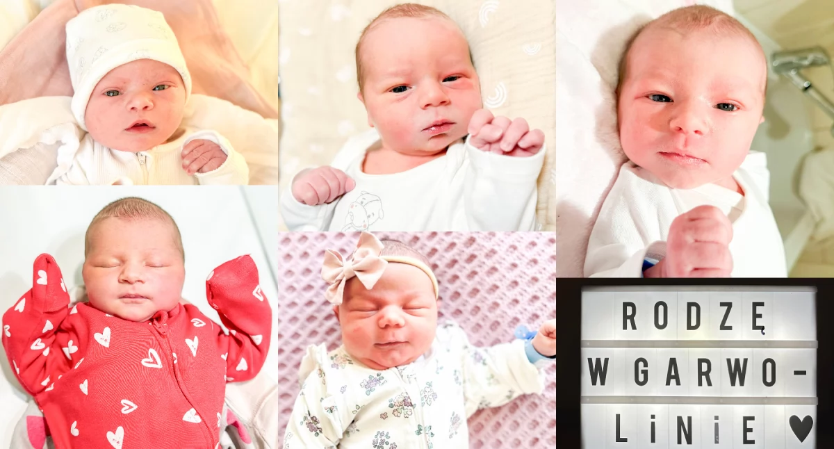 Inne Ciekawostki, najmłodsi mieszkańcy Witajcie Świecie! - zdjęcie, fotografia