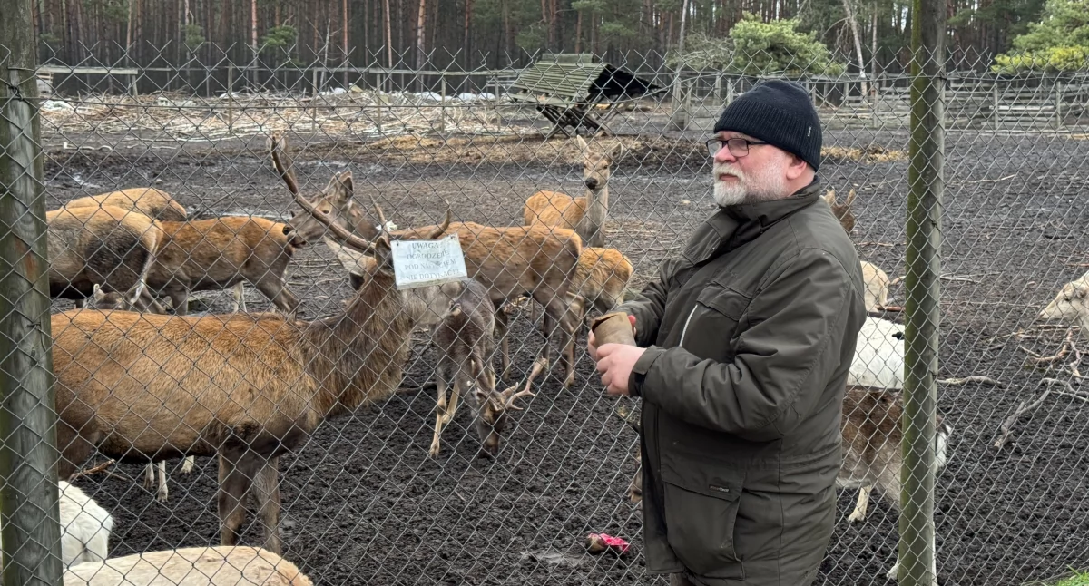 Inne Powiat, Zagroda Cyganówce likwidacji - zdjęcie, fotografia