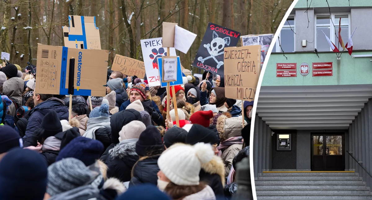 Inne Powiat, Radna Sobolewa jesteśmy mordercami! - zdjęcie, fotografia