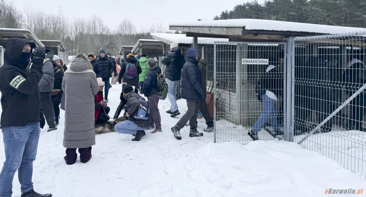 Inne Powiat, Będzie sekcja martwych psów Prokuratura sprawę znęcania zwierzętami Happy - zdjęcie, fotografia