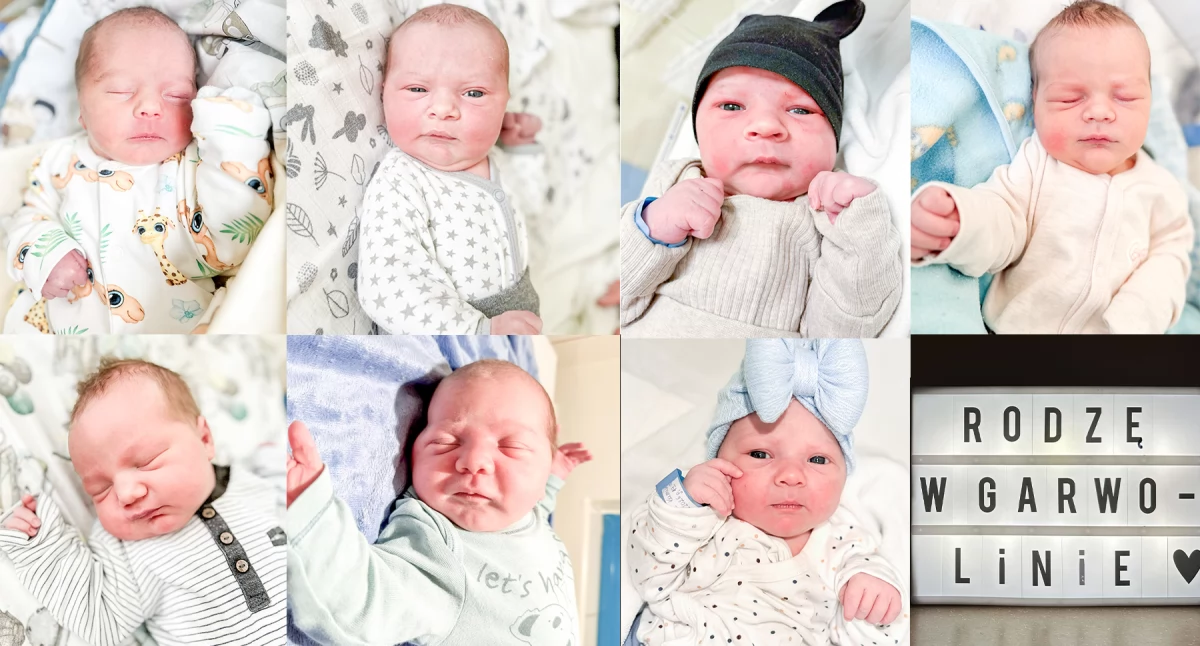 Inne Ciekawostki, najmłodsi mieszkańcy Witajcie Świecie! - zdjęcie, fotografia