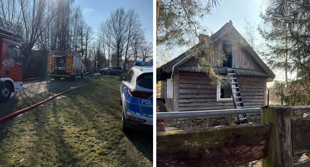 Pożary - interwencje straży, Pożar drewnianego środku znajdowało prawie psów - zdjęcie, fotografia