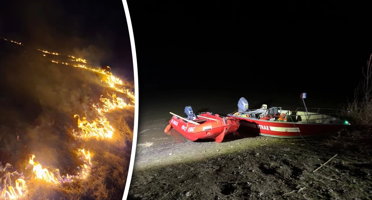 Pożary - interwencje straży, Pożar wyspie! nieużytków ogniu - zdjęcie, fotografia