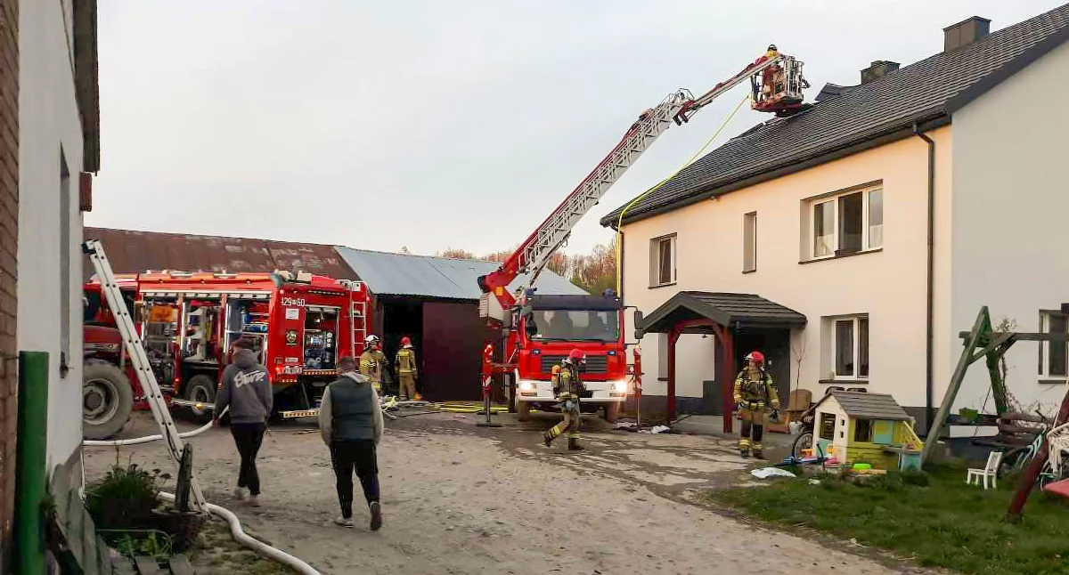 Pożary - interwencje straży, Strażacy walczyli pożarem Zabruzdach Kolonii - zdjęcie, fotografia