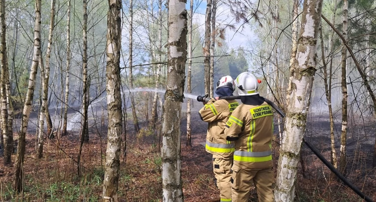 Zdjęcie: Doszło do kolejnego pożaru lasu w miejscowości Kalonka w gminie Pilawa