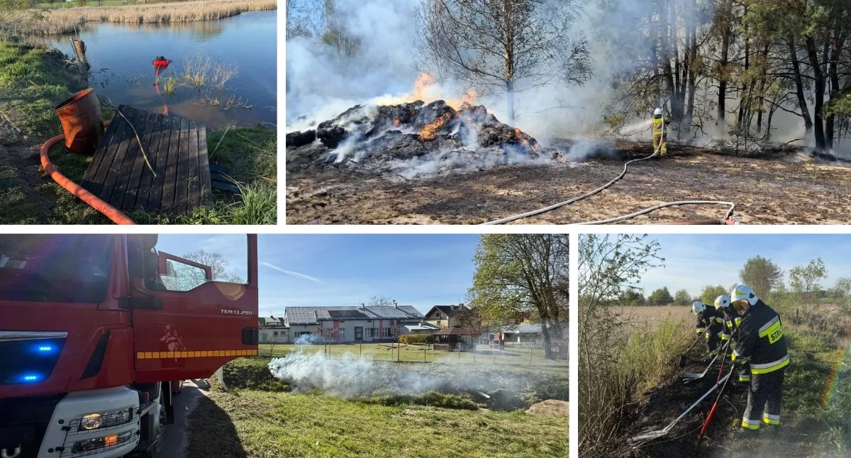 Pożary - interwencje straży, Pożary lasów dały strażakom spokoju majówkę - zdjęcie, fotografia