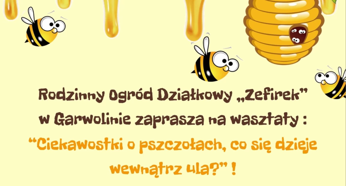 W Garwolinie, Zefirek zaprasza rodzinne warsztaty Poznaj tajemnice życia pszczół! - zdjęcie, fotografia