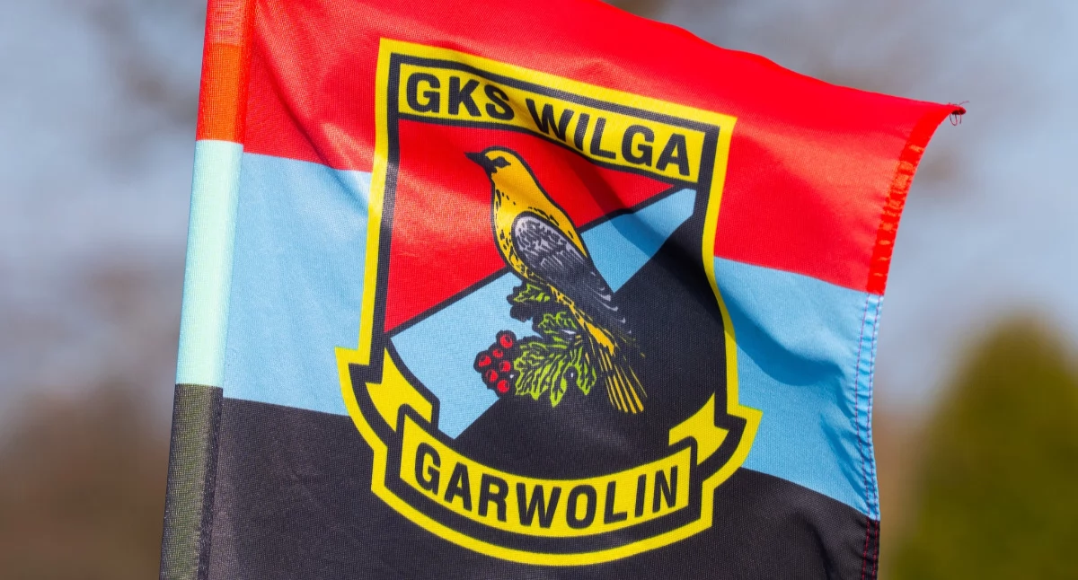 Piłka nożna, Wilga Garwolin wraca Podsumowanie kolejki Mazowieckiej - zdjęcie, fotografia
