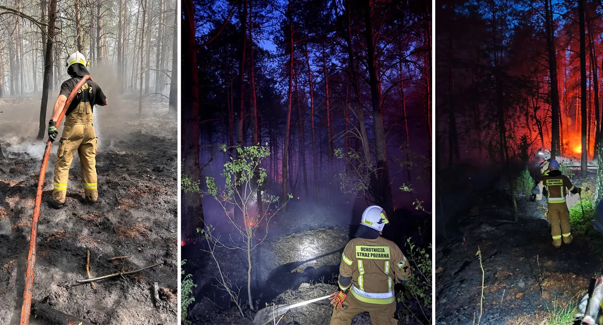 Zdjęcie: Druhowie z garwolińskiego trafili w bardzo trudne warunki. Wysoka temperatura, porywisty wiatr i ciężki, trudno dostępny teren sprawiały, że ogień dynamicznie się rozprzestrzeniał