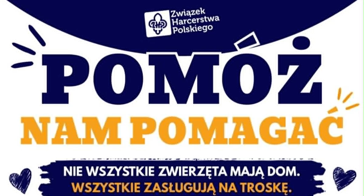 Charytatywnie, „Pomóż pomagać” harcerska zbiórka podopiecznych Fundacji „Przyjaciel Zwierz” - zdjęcie, fotografia