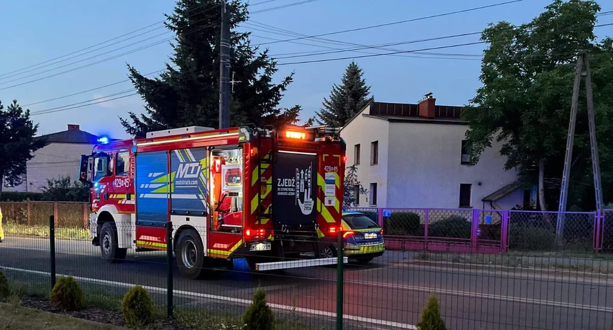 Sprawy kryminalne , Uderzył fordem drzewo uciekł - zdjęcie, fotografia