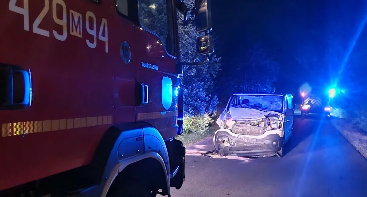 Wypadki drogowe , Zderzenie samochodu łosiem Zwierzę przeżyło - zdjęcie, fotografia