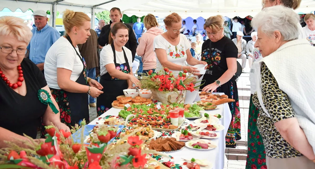 Festyny - Pikniki, Festiwal Smaków Borowiu Kulinarne tradycje konkurs regionalne przysmaki - zdjęcie, fotografia
