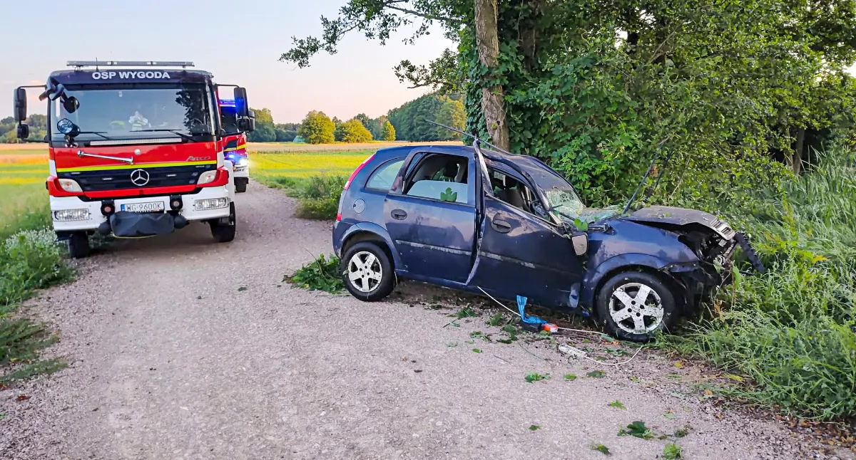 Wypadki drogowe , Nastolatkowie szpitalu uderzeniu drzewo latek wiedzy rodziców wsiadł kółko - zdjęcie, fotografia