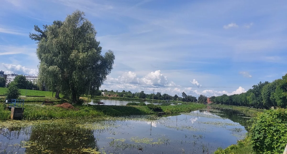 Interwencje Miejskie, zielenią Garwolinie Mieszkaniec Zarzecze Zamojską burmistrz odpowiada - zdjęcie, fotografia