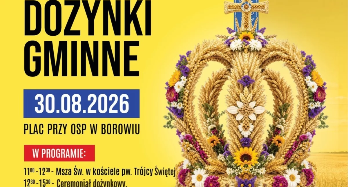 W Powiecie, Święto Gminy Dożynki Borowiu Sprawdź program wydarzenia - zdjęcie, fotografia
