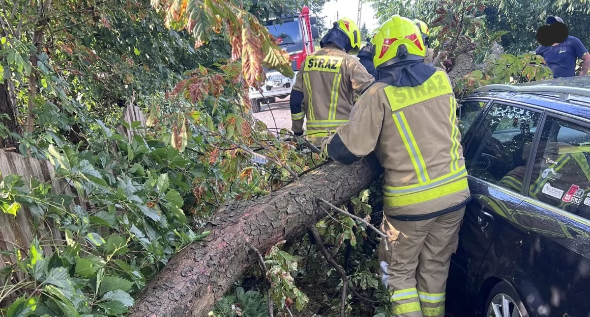 Pożary - interwencje straży, Drzewo spadło samochody wiatr zerwał Strażacy interweniowali Brzuskowoli - zdjęcie, fotografia