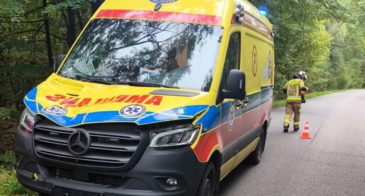 Wypadki drogowe , Groźne zdarzenie Starogrodzkiej Ambulans zderzył łosiem - zdjęcie, fotografia