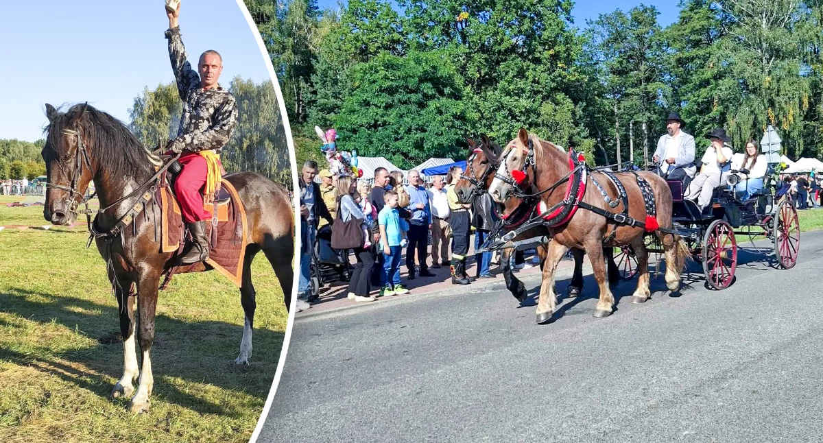 Inne Powiat, Konie bryczki wyścig Górkach Regionalne Święto Hodowców - zdjęcie, fotografia