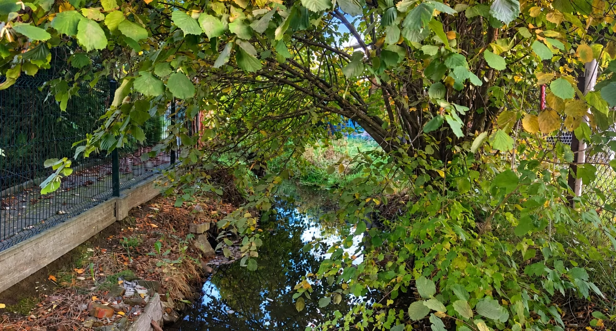 Inne Miejskie, należy Eliasz Pytania własność czyszczenie cieku - zdjęcie, fotografia
