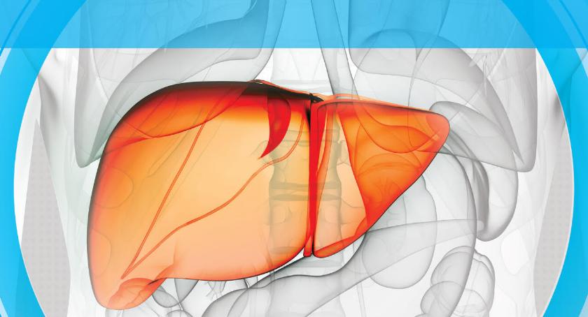 Zakażenie wirusem HCV – Bezpłatne badania w Garwolinie