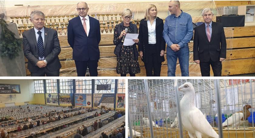 Oficjalnie otwarto IX wystawę Gołębi w Garwolinie