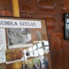 zdjęcie nr 17