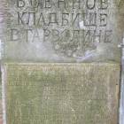 Fotka nr 5 z 8