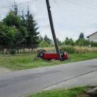 Fotka nr 5 z 11