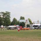 zdjęcie nr 91