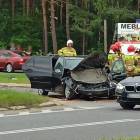 zdjęcie nr 14