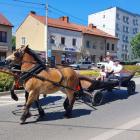 zdjęcie nr 118