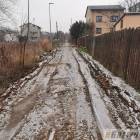 zdjęcie nr 35