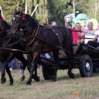 zdjęcie nr 123