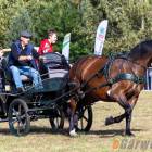 zdjęcie nr 103