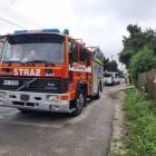 Fotka nr 2 z 4
