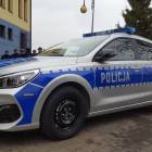 Fotka nr 3 z 36