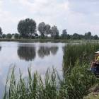 zdjęcie nr 36