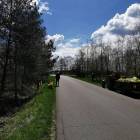 zdjęcie nr 9