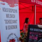 zdjęcie nr 42