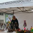 zdjęcie nr 21