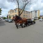 zdjęcie nr 33