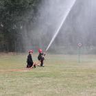 zdjęcie nr 120