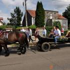 zdjęcie nr 99