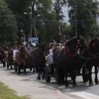 zdjęcie nr 50