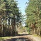 zdjęcie nr 27