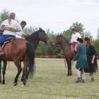 zdjęcie nr 184